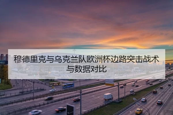 穆德里克与乌克兰队欧洲杯边路突击战术与数据对比